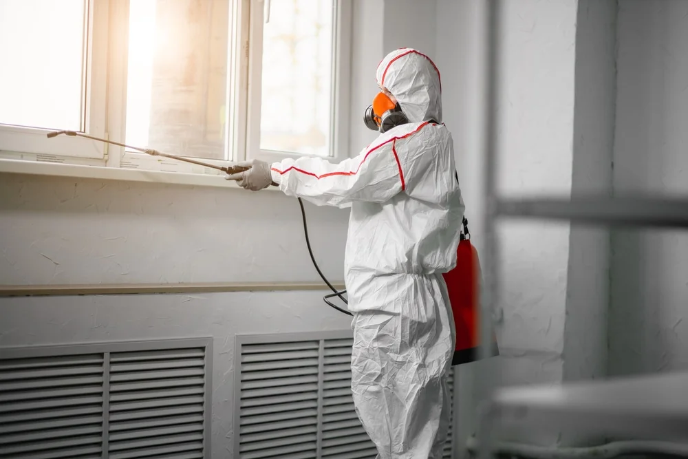 Professional mold remediation services in Old Hickory, TN